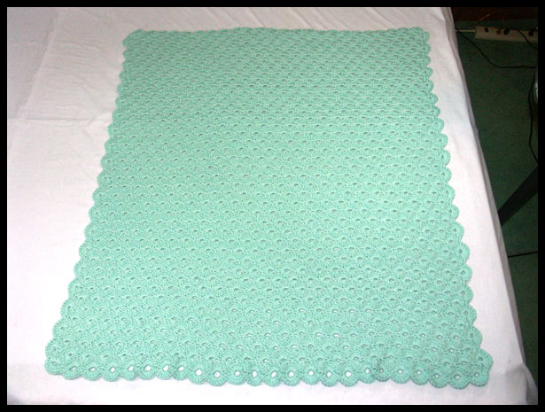 Lots of Shells Baby Afghan - Flat (click to go back)