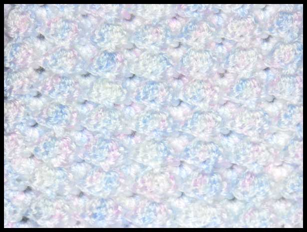 Rose Petals & Puffy Shell Stitch Closeup (click to go back)
